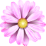 small-flower2